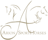 Arion Sporthorses